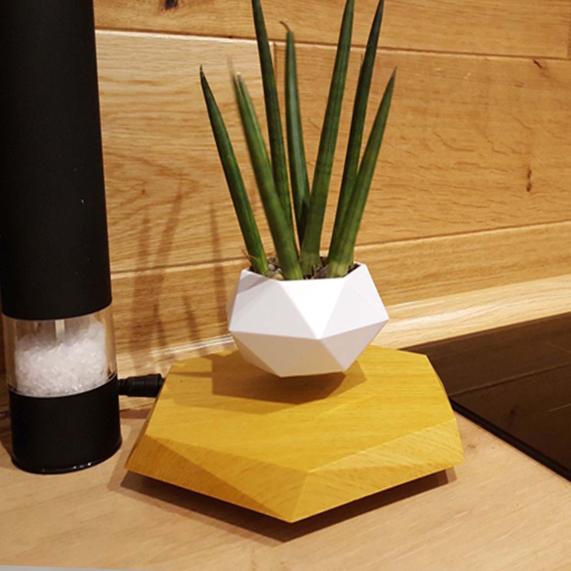 Floating Magnetic Levitating Flower Bonsai Air Floating Plant Pot Home Decor