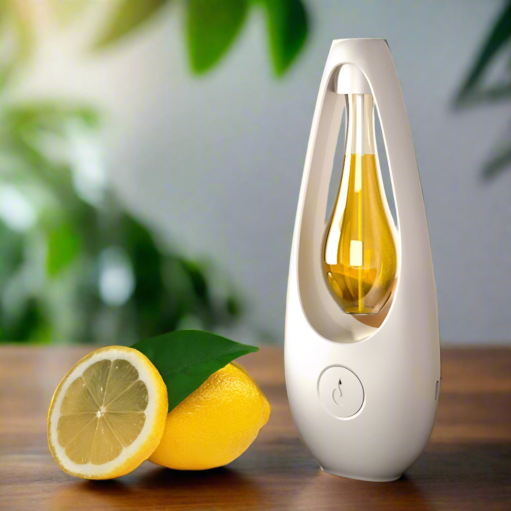 Automatic Aerosol Air Freshener Diffuser USB Aroma Dispenser for Home and Office