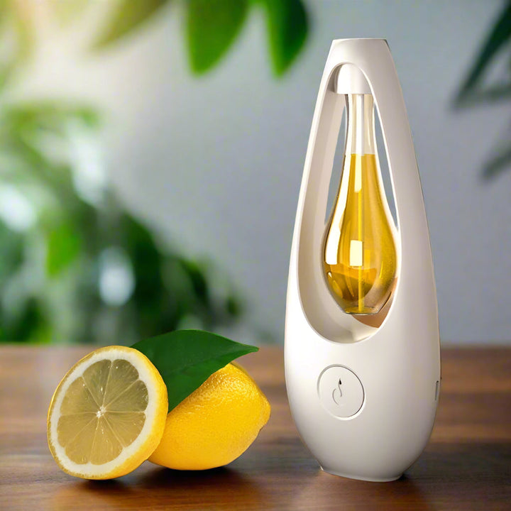 Automatic Aerosol Air Freshener Diffuser USB Aroma Dispenser for Home and Office