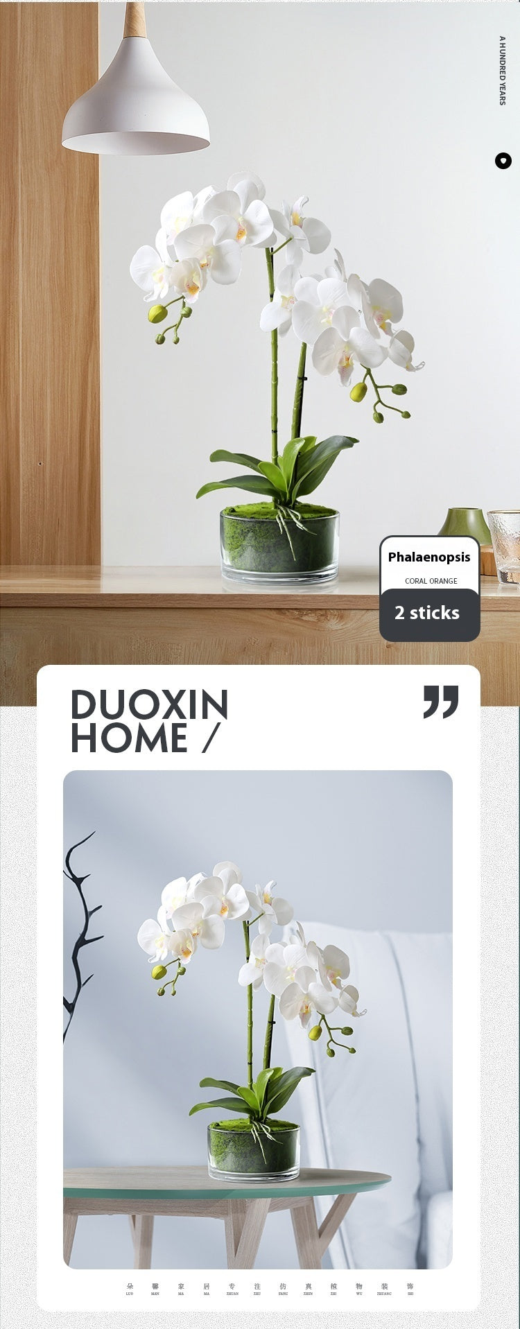 Artificial Phalaenopsis Orchid Potted Plant Decor