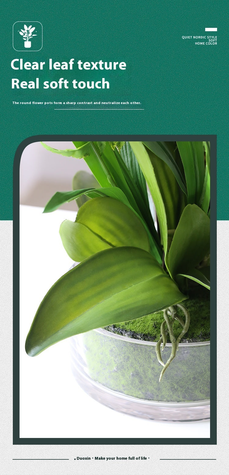Artificial Phalaenopsis Orchid Potted Plant Decor
