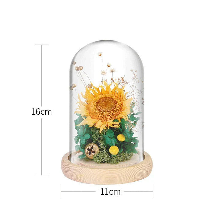 Preserved Eternal Flower Lamp Glass Dome – Romantic Home Decor Gift Idea