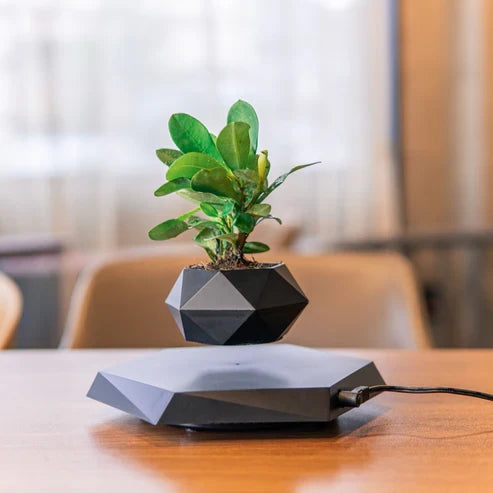 Floating Magnetic Levitating Flower Bonsai Air Floating Plant Pot Home Decor