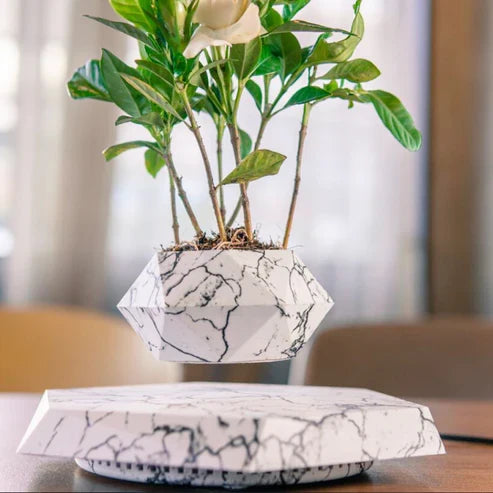 Floating Magnetic Levitating Flower Bonsai Air Floating Plant Pot Home Decor