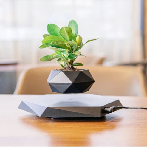 Floating Magnetic Levitating Flower Bonsai Air Floating Plant Pot Home Decor
