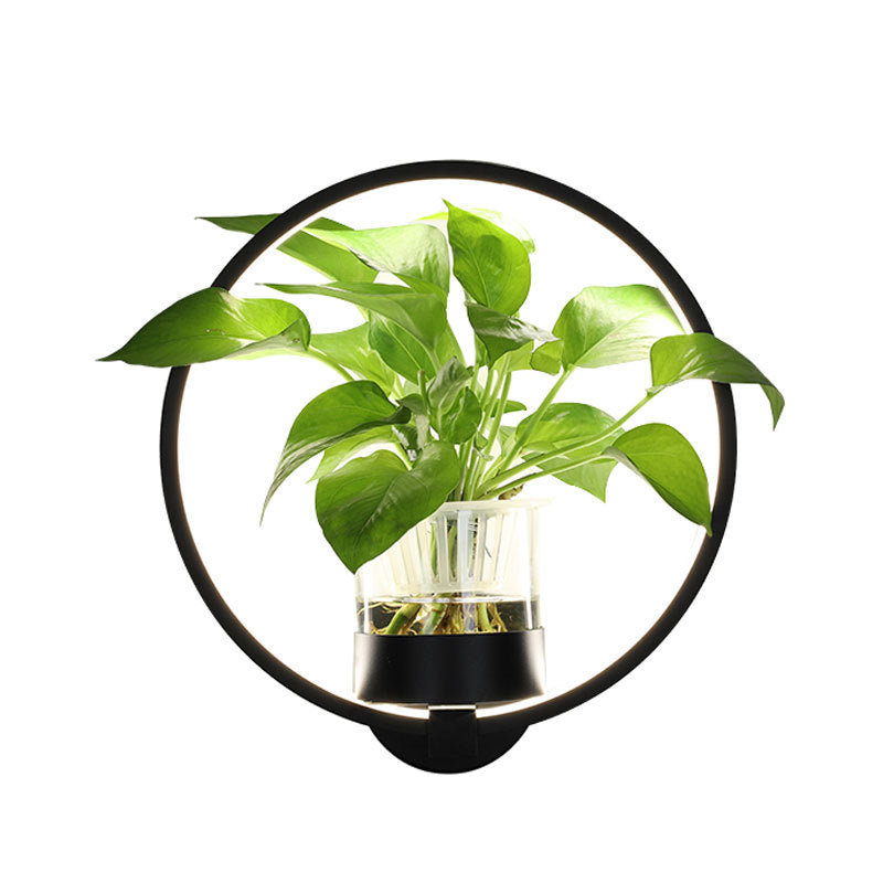 Modern LED Wall Lights with Potted Plant Design