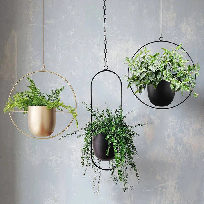 Simple Creative Hanging Iron Flower Pot Hydroponic Plant Pot