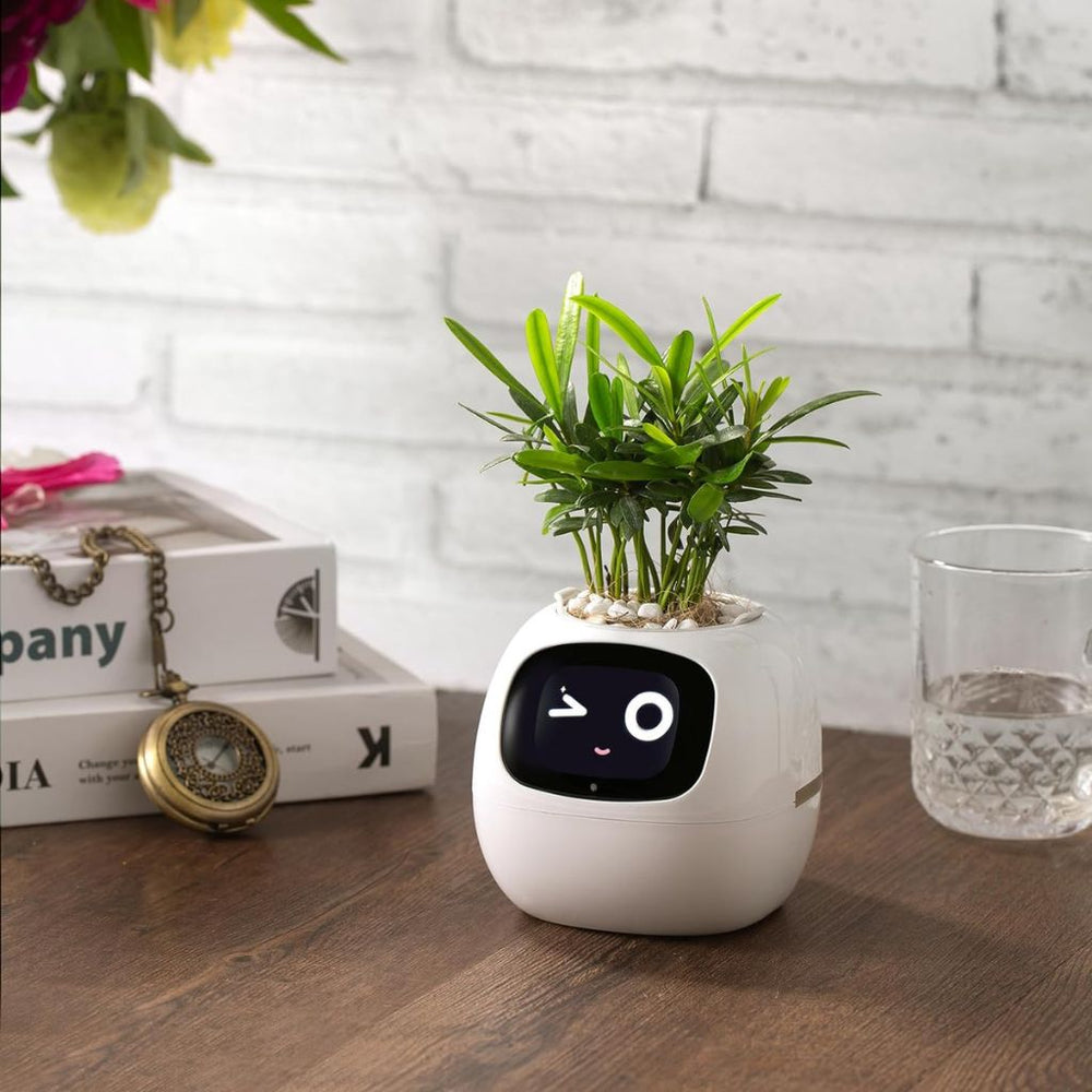 Smart Plant Pot – Ivy AI Planter with 7 Sensors & Facial Expression Display | 5 Colors