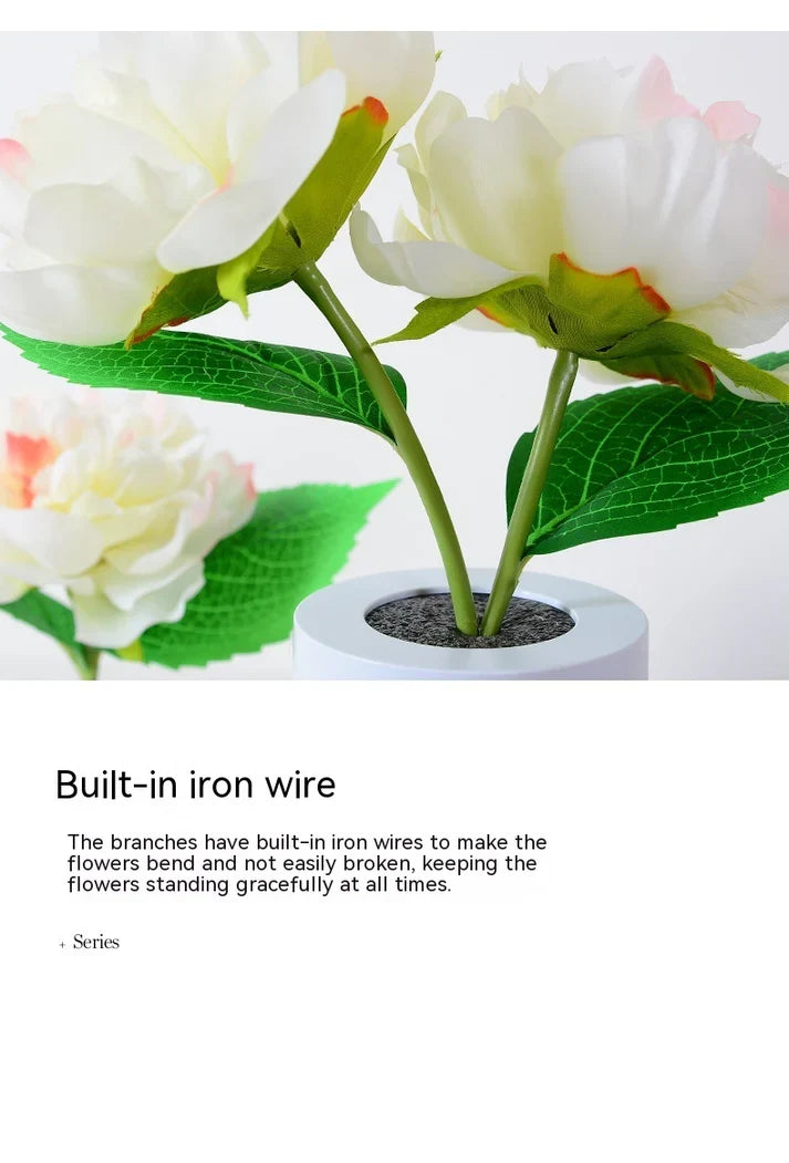 Peony Flower Night Lamp Ambient Light for Bedroom & Home Decoration