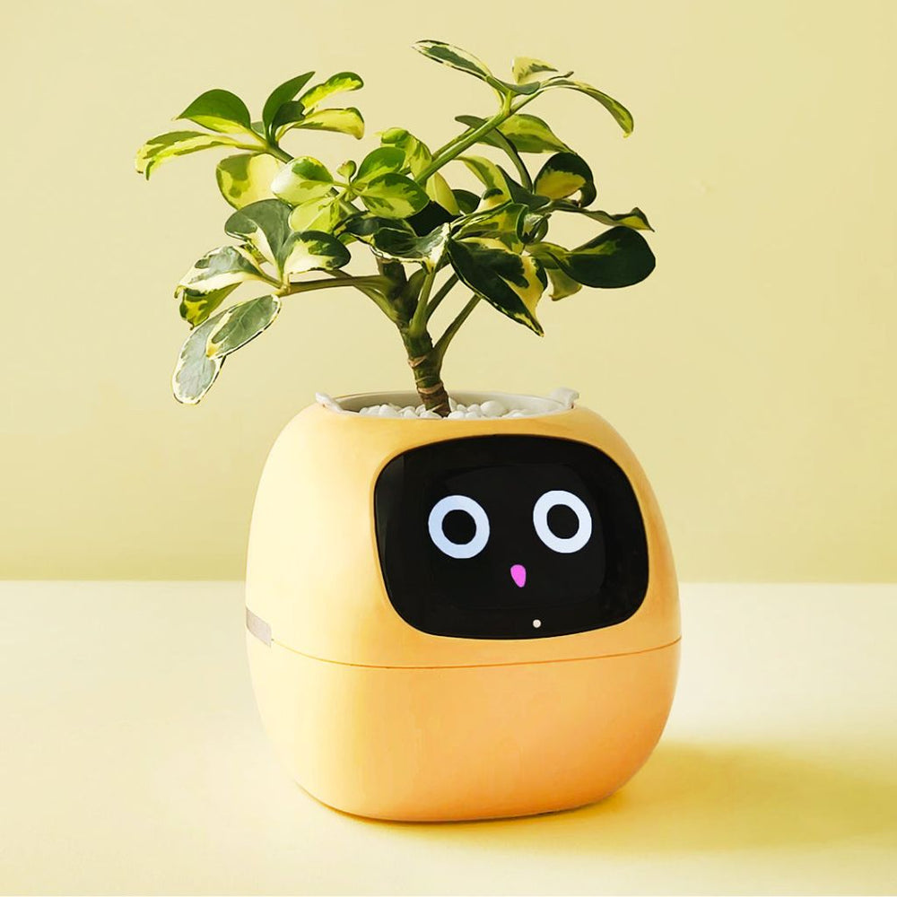 Smart Plant Pot – Ivy AI Planter with 7 Sensors & Facial Expression Display | 5 Colors