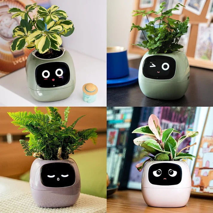 Smart Plant Pot – Ivy AI Planter with 7 Sensors & Facial Expression Display | 5 Colors