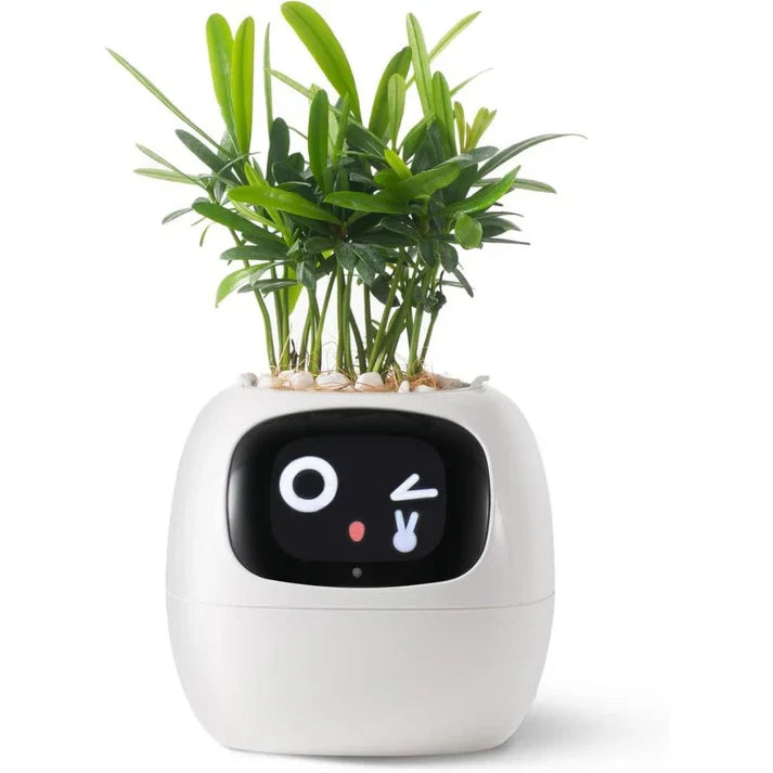 Smart Plant Pot – Ivy AI Planter with 7 Sensors & Facial Expression Display | 5 Colors