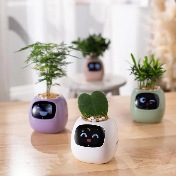 Smart Plant Pot – Ivy AI Planter with 7 Sensors & Facial Expression Display | 5 Colors
