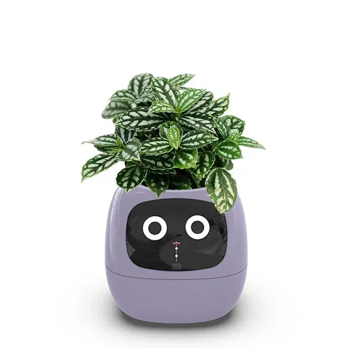 Smart Plant Pot – Ivy AI Planter with 7 Sensors & Facial Expression Display | 5 Colors
