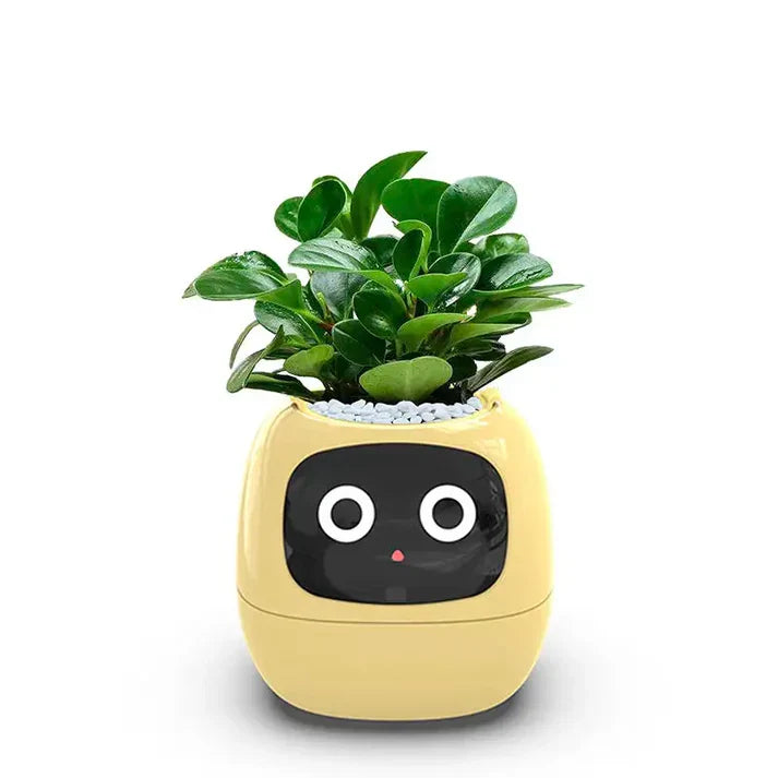 Smart Plant Pot – Ivy AI Planter with 7 Sensors & Facial Expression Display | 5 Colors