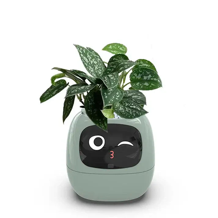 Smart Plant Pot – Ivy AI Planter with 7 Sensors & Facial Expression Display | 5 Colors