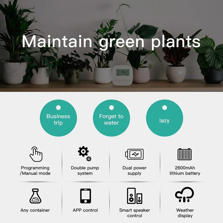 Graffiti Automatic Home Smart Planter Rechargeable Sprinkler Timer