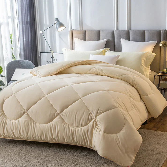 Warm Winter Comforter - Heavyweight Down Alternative Quilted Duvet Insert